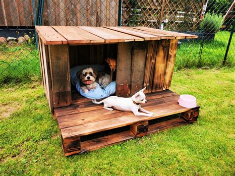 diy pallet dog house ideas